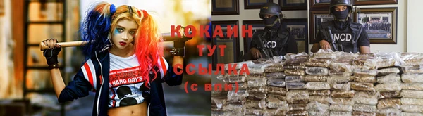 spice Ельня