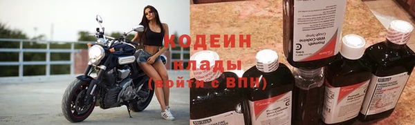 spice Ельня