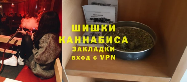 spice Ельня