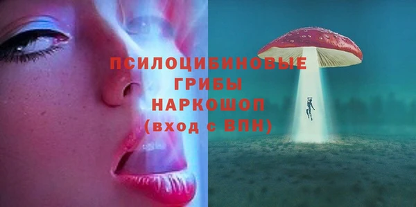 spice Ельня