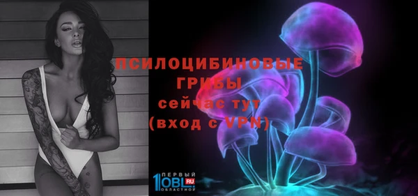 а пвп мука Елабуга