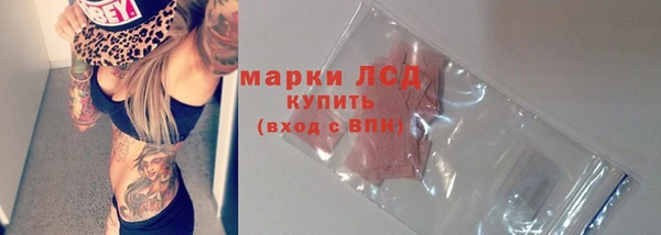 spice Ельня