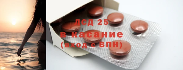 spice Ельня