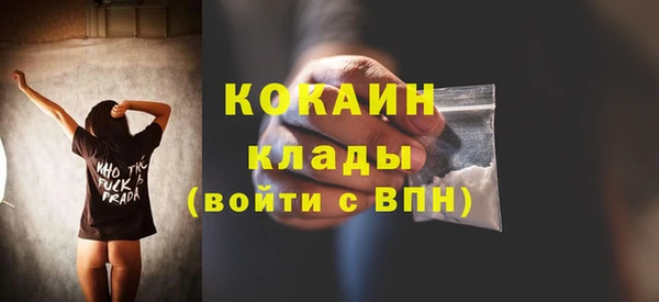 спиды Елизово