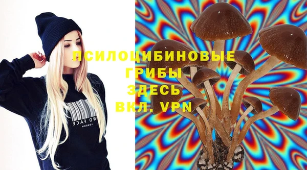 spice Ельня