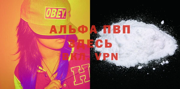 спиды Елизово